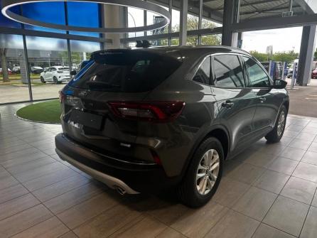 FORD Kuga 2.5 Duratec 180ch Hybrid FlexiFuel Titanium Powershift à vendre à Dijon - Image n°5